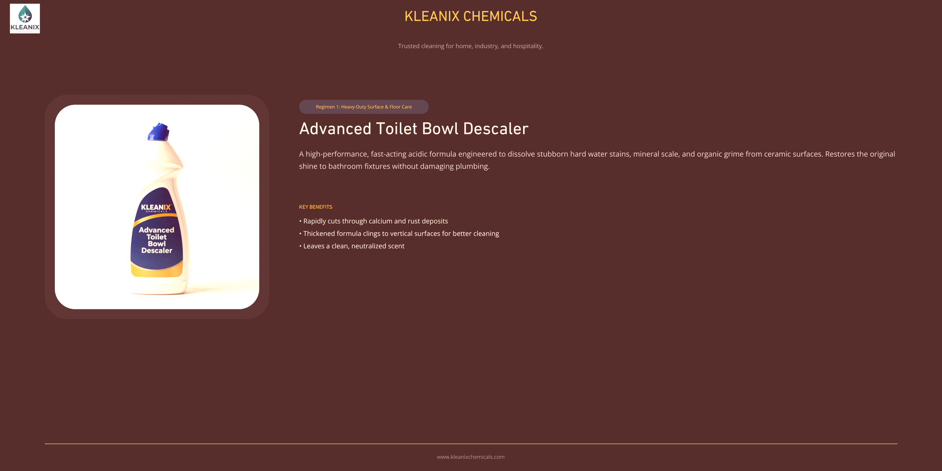 Advanced Toilet Bowl Cleaner