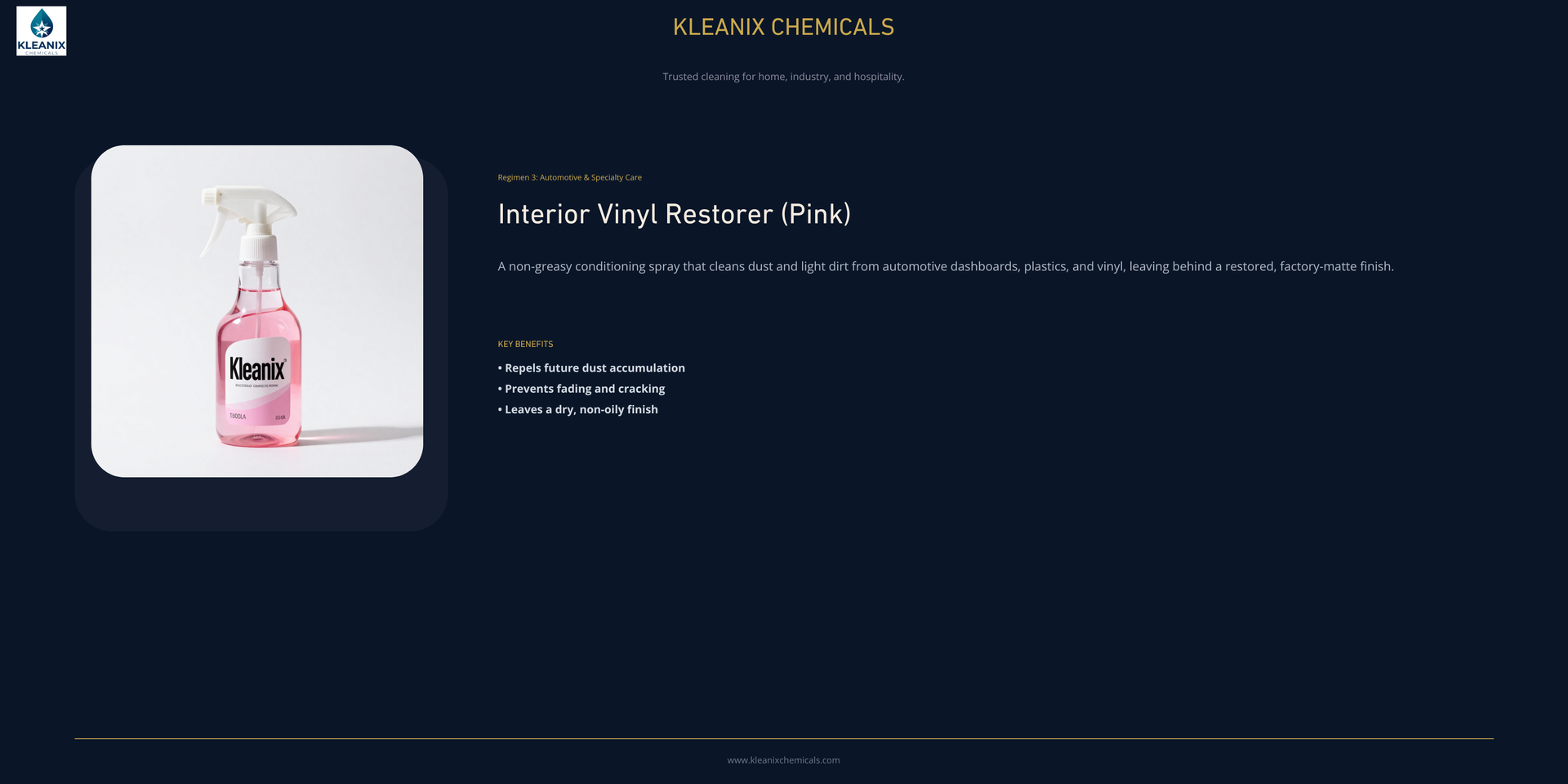 Interior Vinyl Restorer